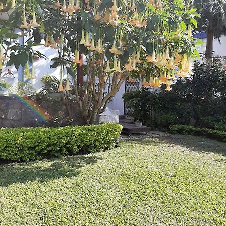 Figtree Guesthouse Мапуту Экстерьер фото